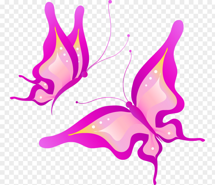 Butterfly Illustration PNG