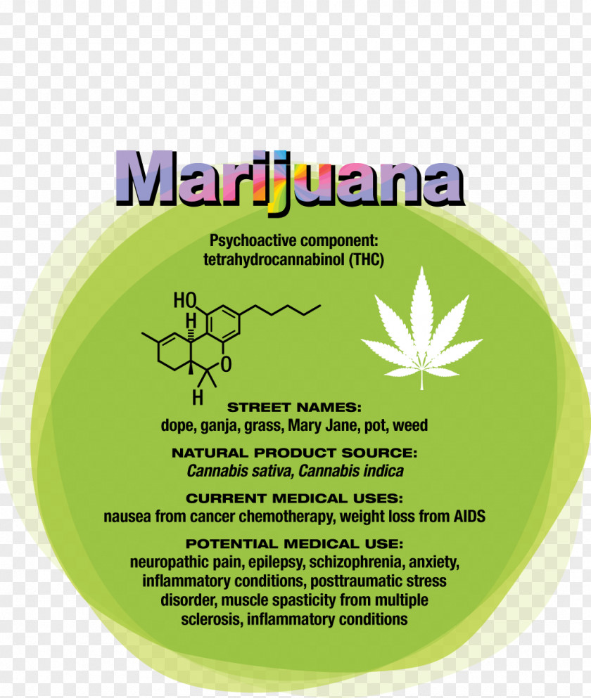 Cannabis Psychedelic Drug Hallucinogen Medicine PNG
