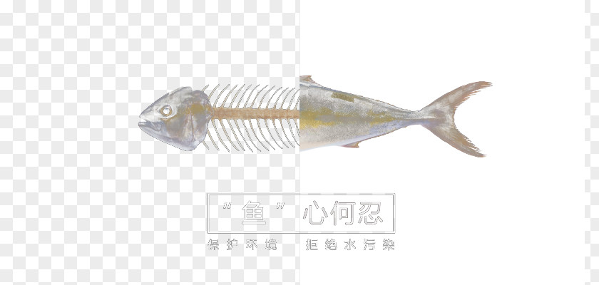 Fish Heartless U4f55 U5fcd Bone PNG