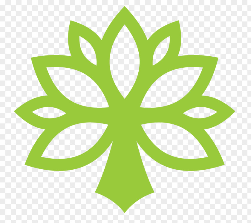 Green Leaf Plant Symmetry Symbol PNG