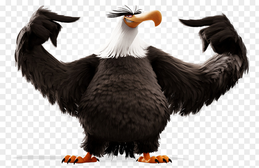 Pink Bird Mighty Eagle YouTube Angry Birds Stella Seasons PNG
