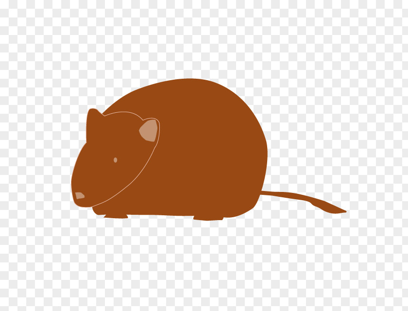 Rat Illustration Clip Art Gerbil Image PNG