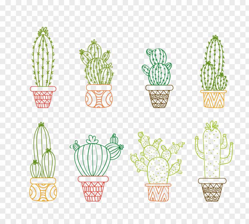 Vector Cactus Drawing Cactaceae Succulent Plant Illustration PNG