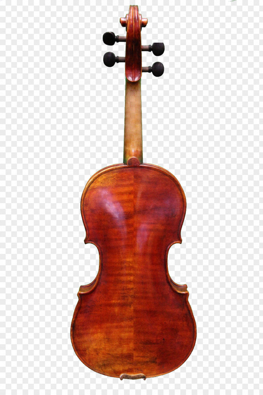 Violin Bass Violone Viola Cello PNG