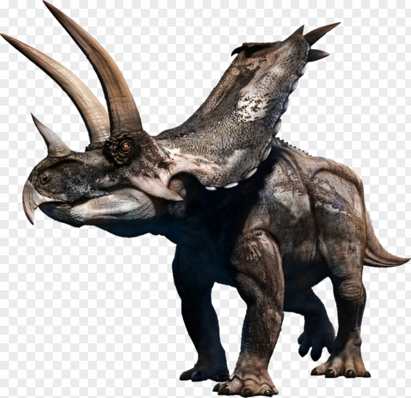 Aguja Background Agujaceratops Triceratops Stock Photography Horned Dinosaurs Royalty-free PNG