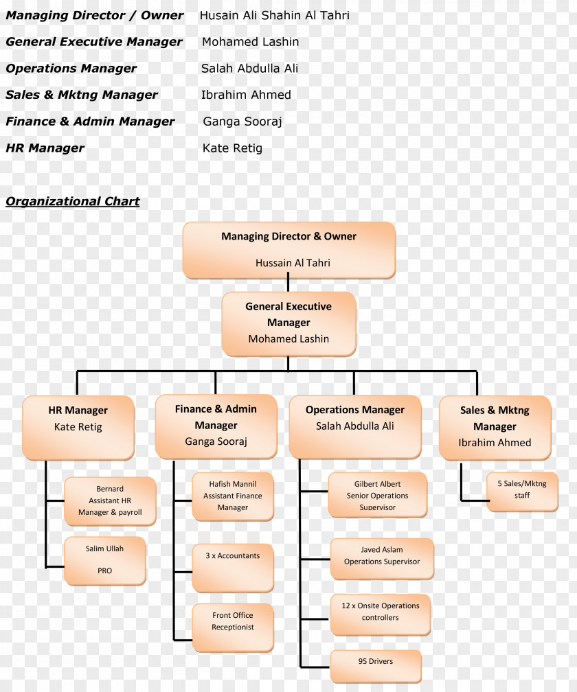 Business Organizational Chart Structure PNG