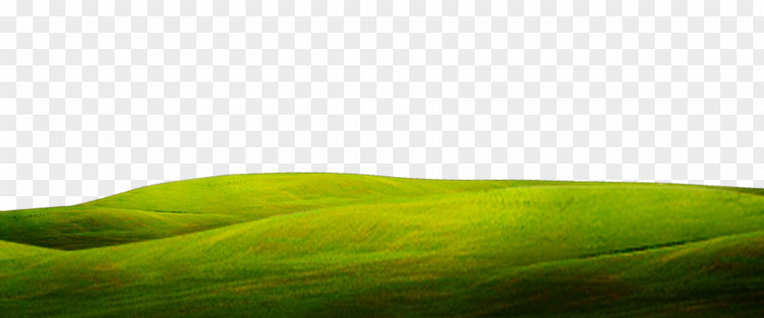 Grass Background Green Close-up Wallpaper PNG