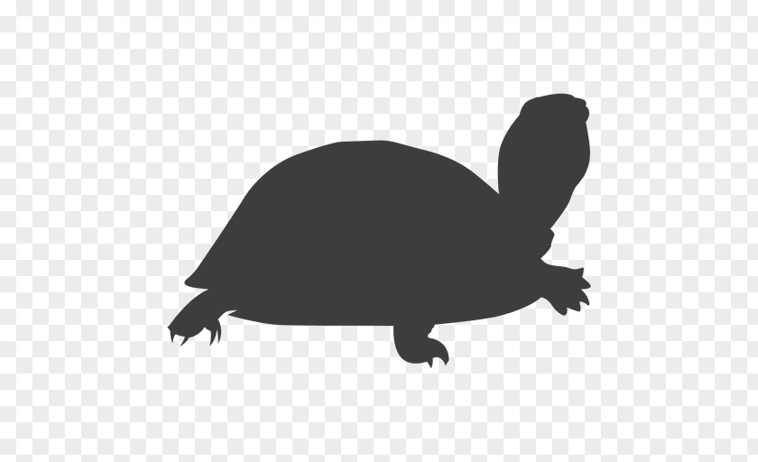 Watercolor Turtle Tortoise Sea Silhouette Reptile PNG
