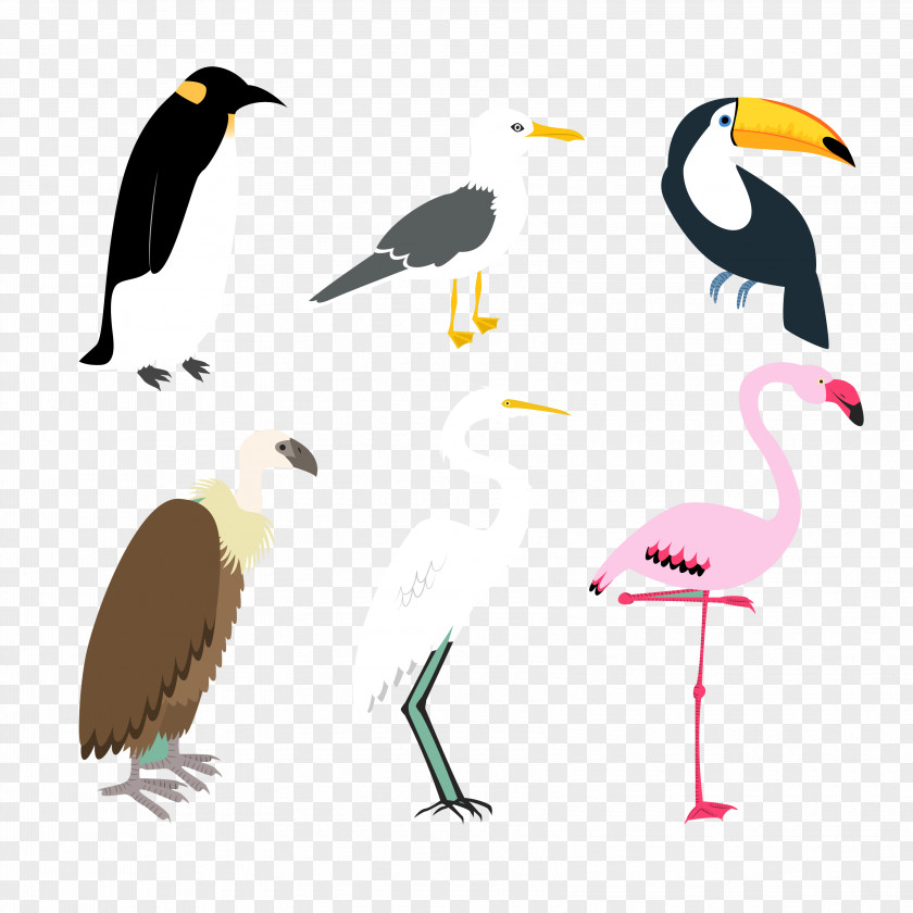 Animal Vector Crane Bird PNG