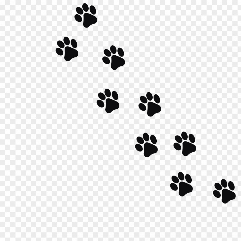 Black Animal Footprints Cat Dog Kitten Footprint Paw PNG
