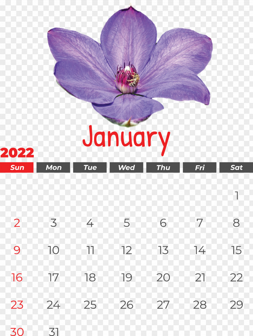 Calendar Violet 長坡村委会 長坡村委会 January PNG