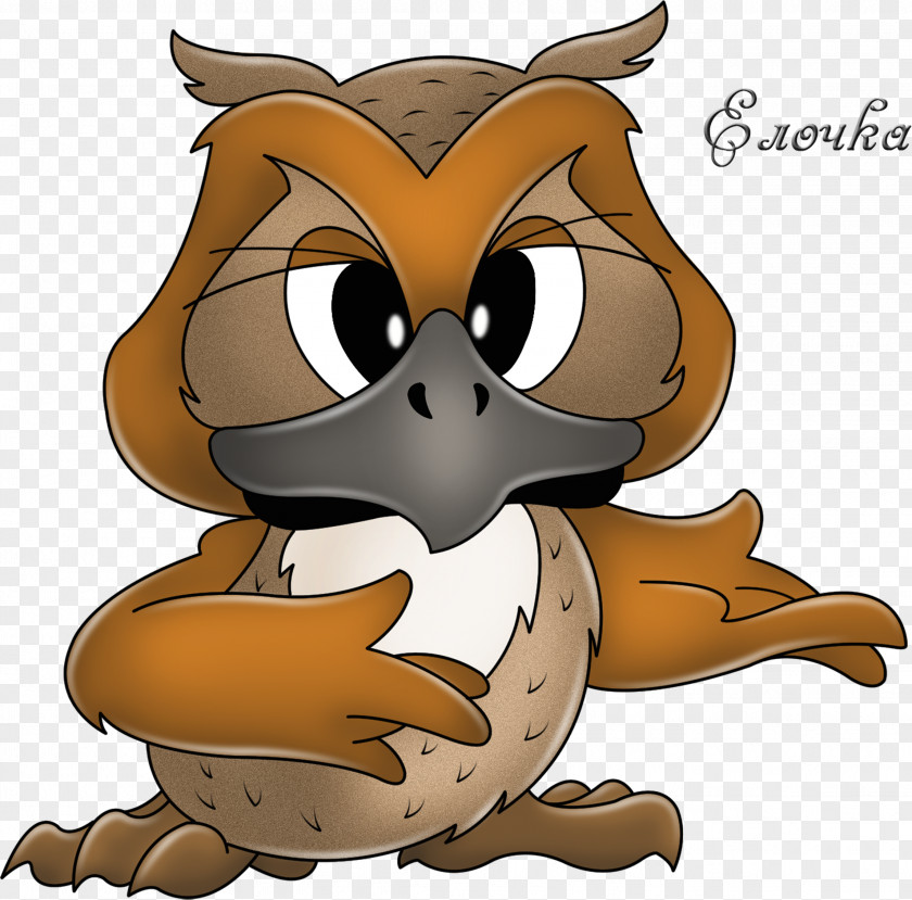 Creatures Owl Bird Drawing Clip Art PNG