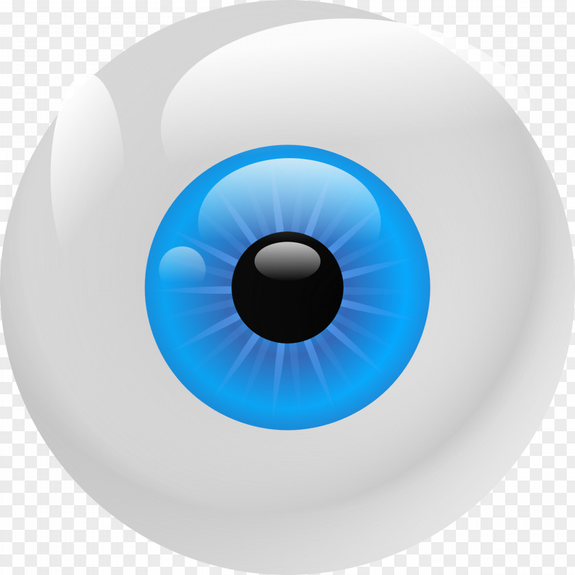 Eyeball Eye Iris Clip Art PNG
