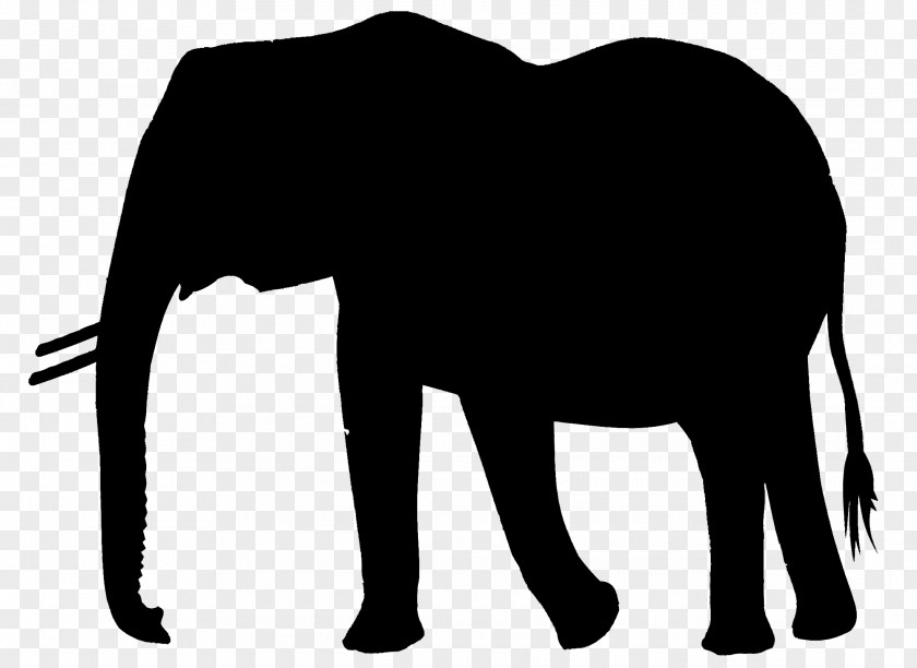 Indian Elephant African Horse Cattle Mammal PNG