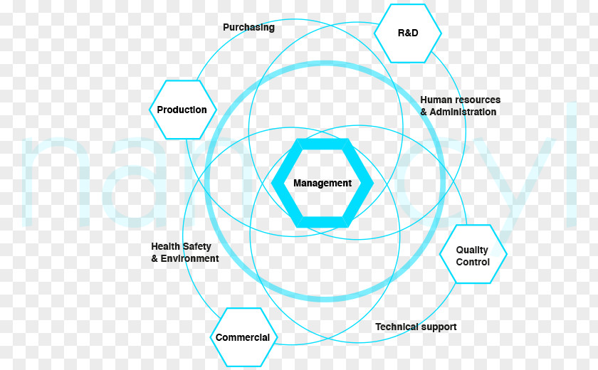 Team Structure Brand Circle Technology PNG