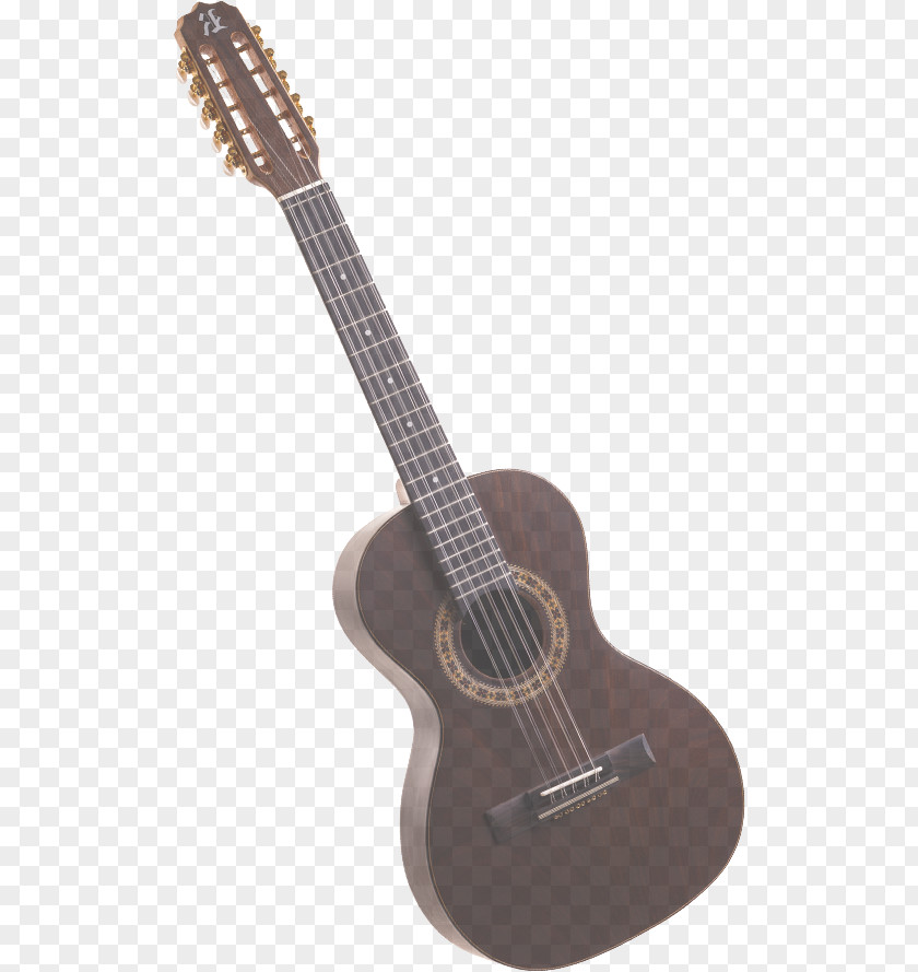 Tiple Acousticelectric Guitar PNG