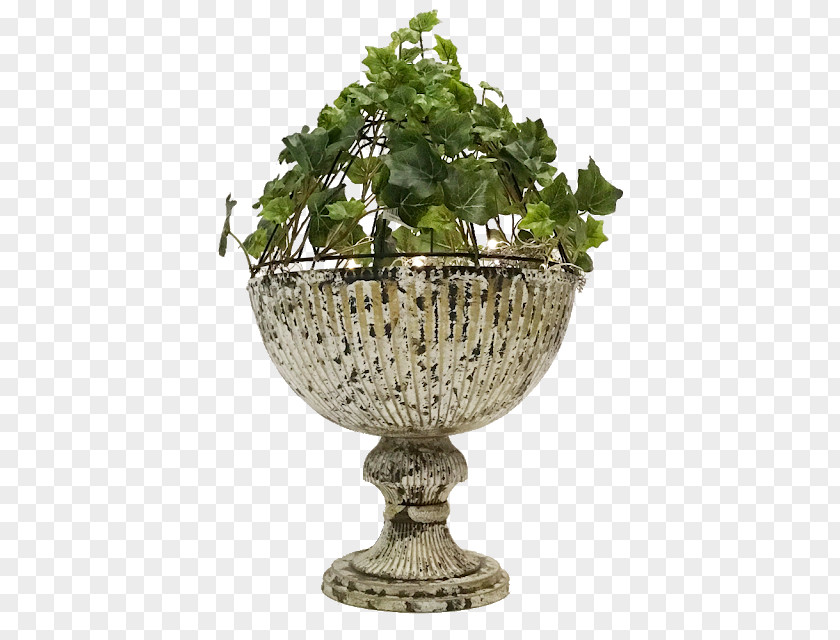 Tree Vase PNG