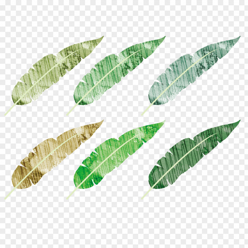 Vector Drawing Green Feathers Banana Bread Cake Leaf Watercolor Painting PNG