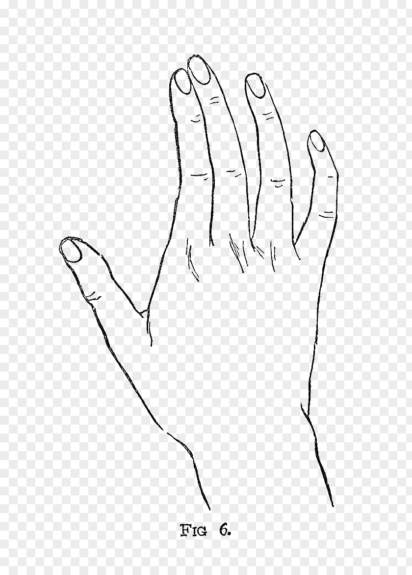 Hand-painted Illustration Drawing Nail Hand PNG