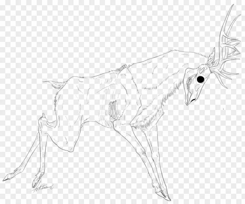 Nymph Canidae Hare Deer Drawing Sketch PNG