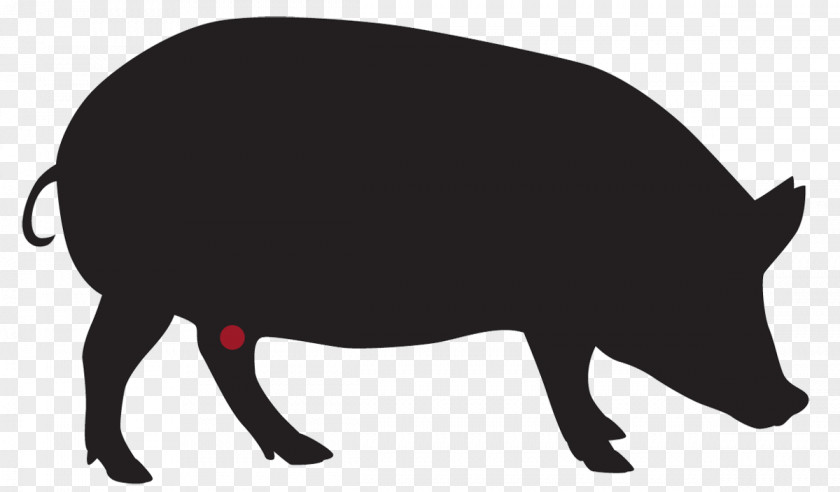 Spareribs Rack Domestic Pig Churrasco Ramen Pork Sausage PNG