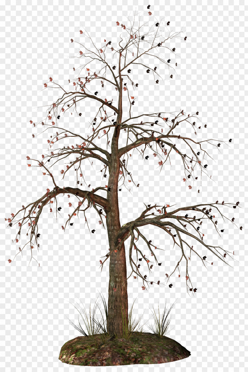 Dead Tree Clipart Clip Art PNG
