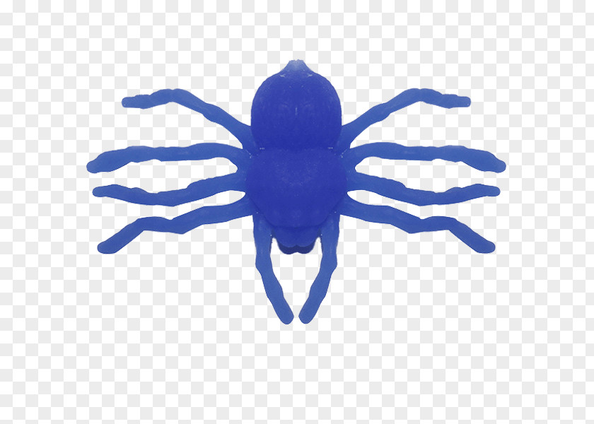 Insect Font PNG