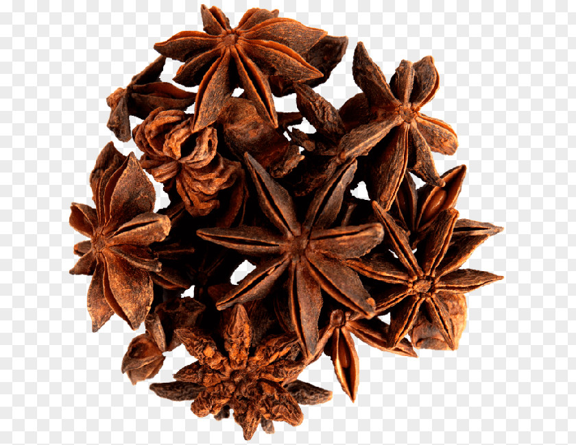 Spice Star Anise Cinnamomum Verum Herb PNG