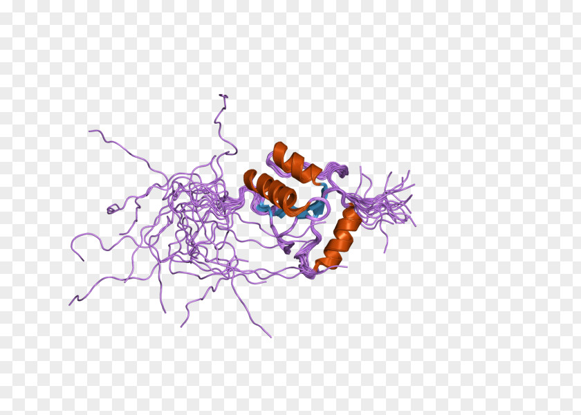 Terminal Deoxynucleotidyl Transferase Nucleotidyltransferase DNA Enzyme PNG