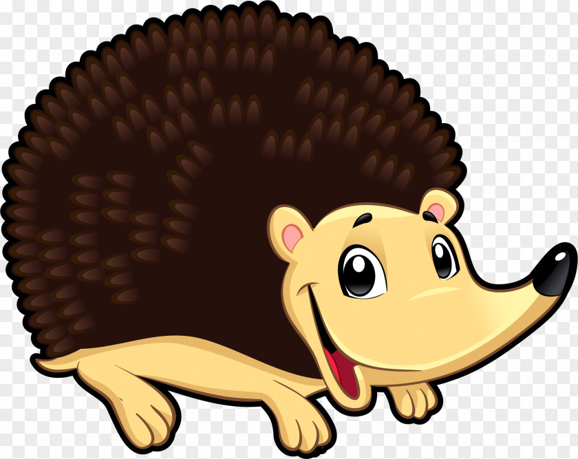 Vector Painted Hedgehog Armadillo Euclidean PNG