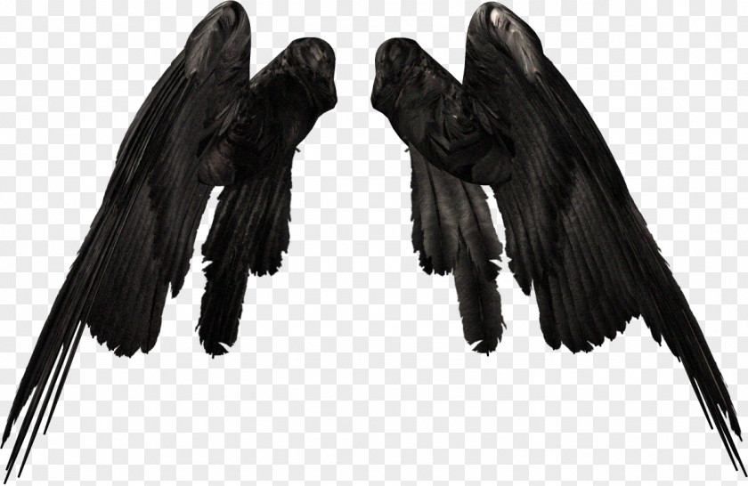 Devil Angel Wings Wing Clip Art PNG
