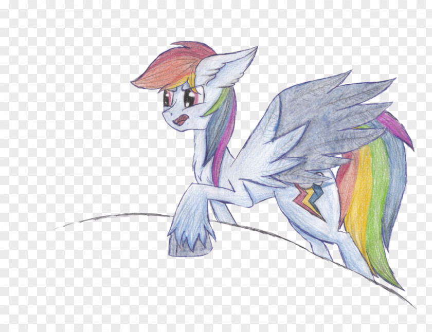 Horse Pony Feather Beak PNG