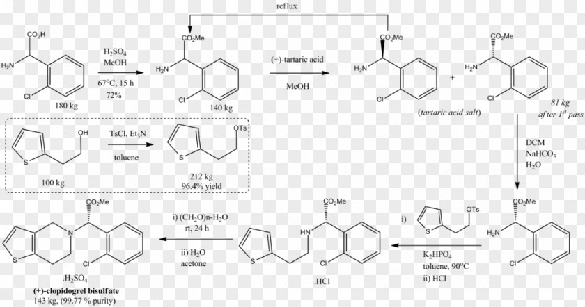 Methyl Eugenol Group Allyl Phenylpropanoid 1,2-Dimethoxybenzene PNG