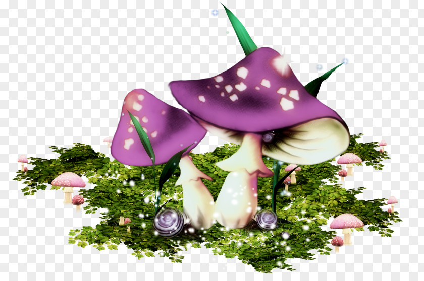 Mushroom Clip Art PNG