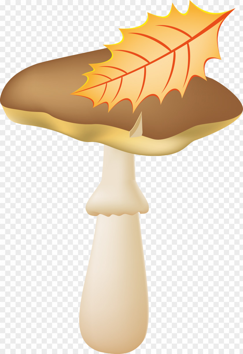 Mushroom Fungus Photography PNG