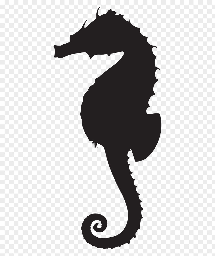 Smear Silhouette Animal Silhouettes White's Seahorse Clip Art Image PNG