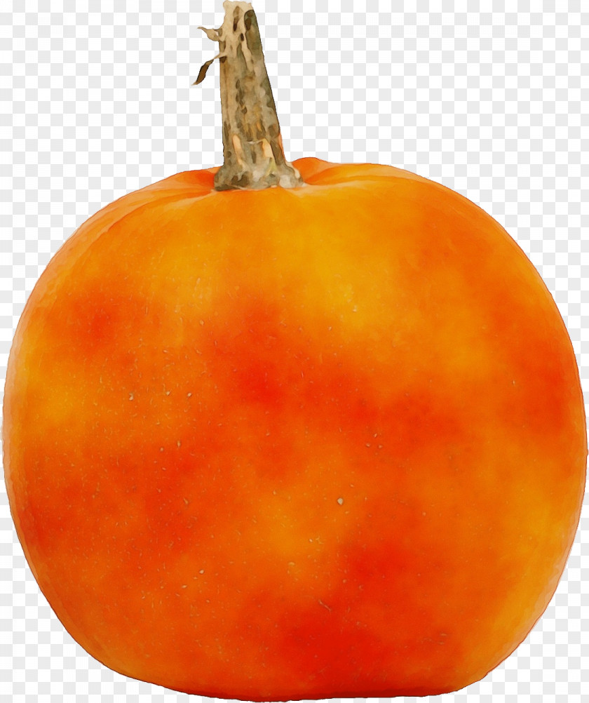 Squash Calabaza Winter Local Food Clémentine M. PNG