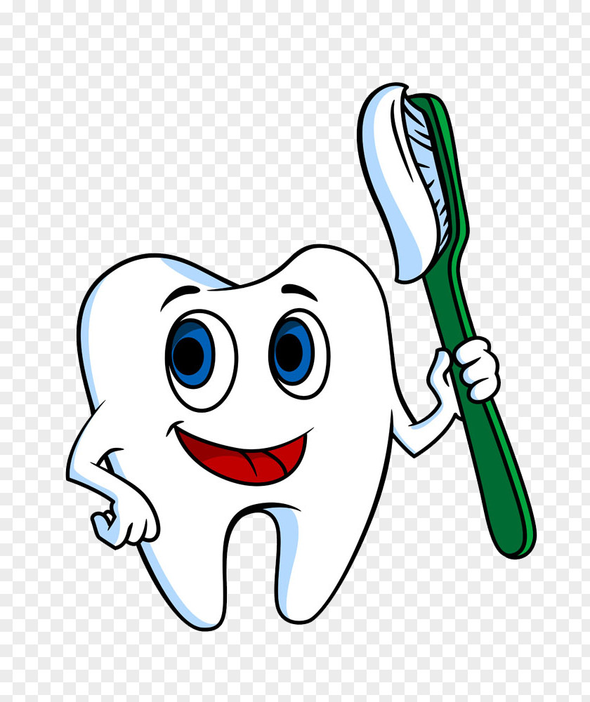 Teeth Holding A Toothbrush Tooth Brushing Bxf8rste Toothpaste PNG