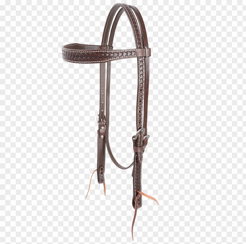 Bridle PNG