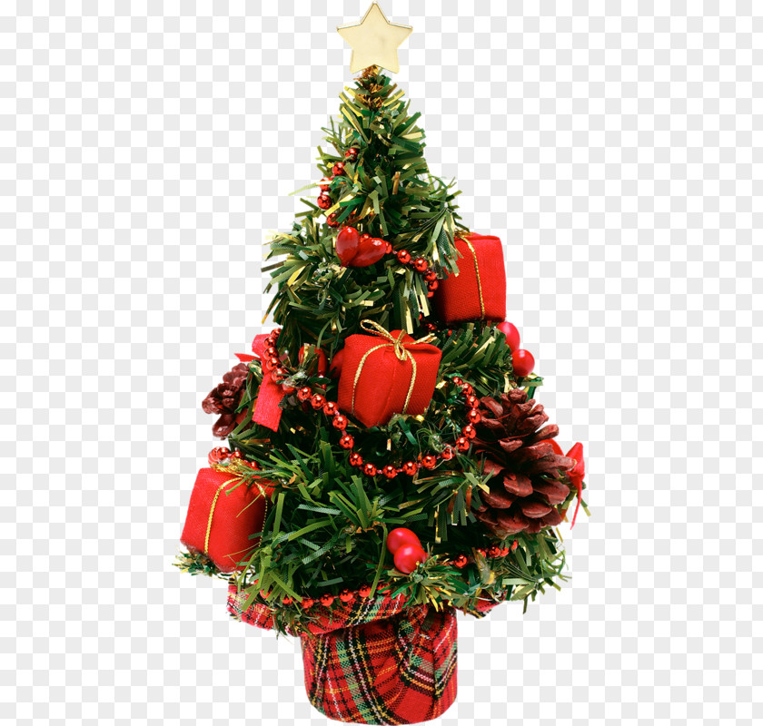 Christmas Tree Festival New Year PNG