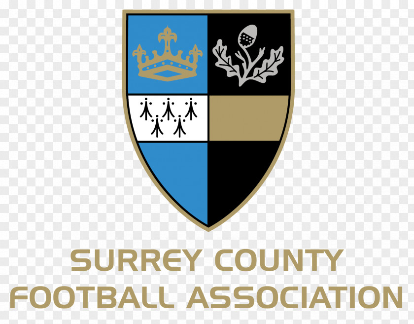 Football English League Surrey Senior Cup FA Women's National The Association PNG