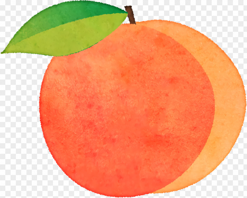 Grapefruit Peach Apple PNG