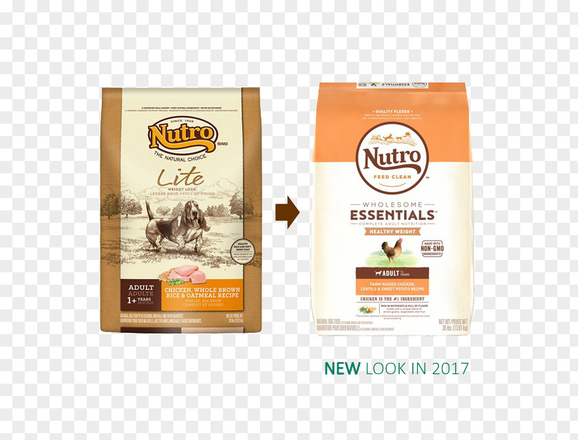 Healthy Weight Loss Cat Food Dog Nutro Products PNG