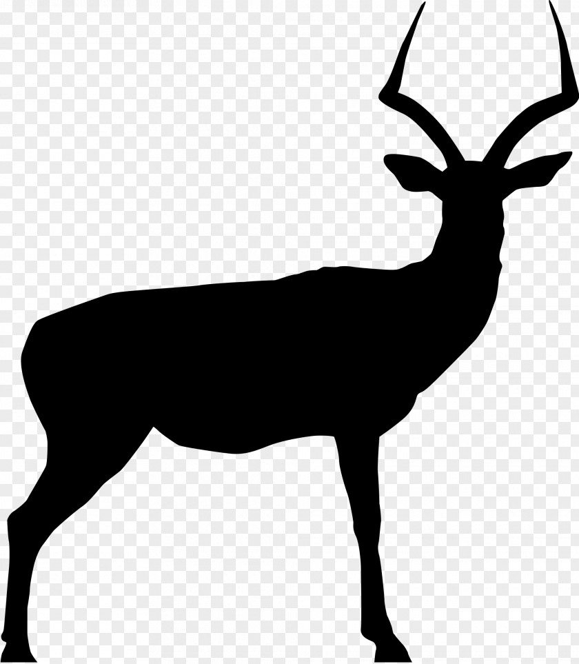 Impala Chevrolet Deer Clip Art PNG