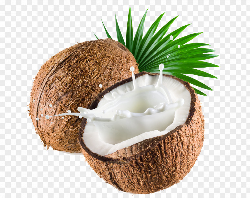 White Coconut Juice Milk Water Thai Cuisine PNG