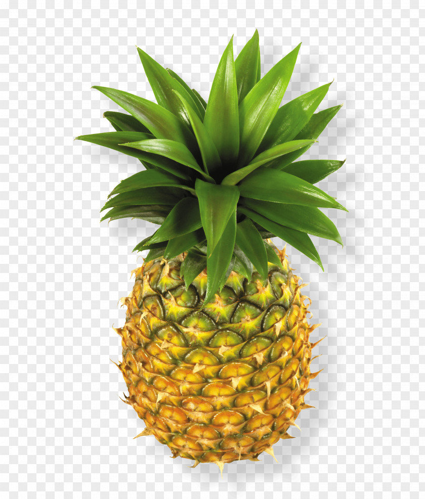 Yellow Food Pineapple PNG