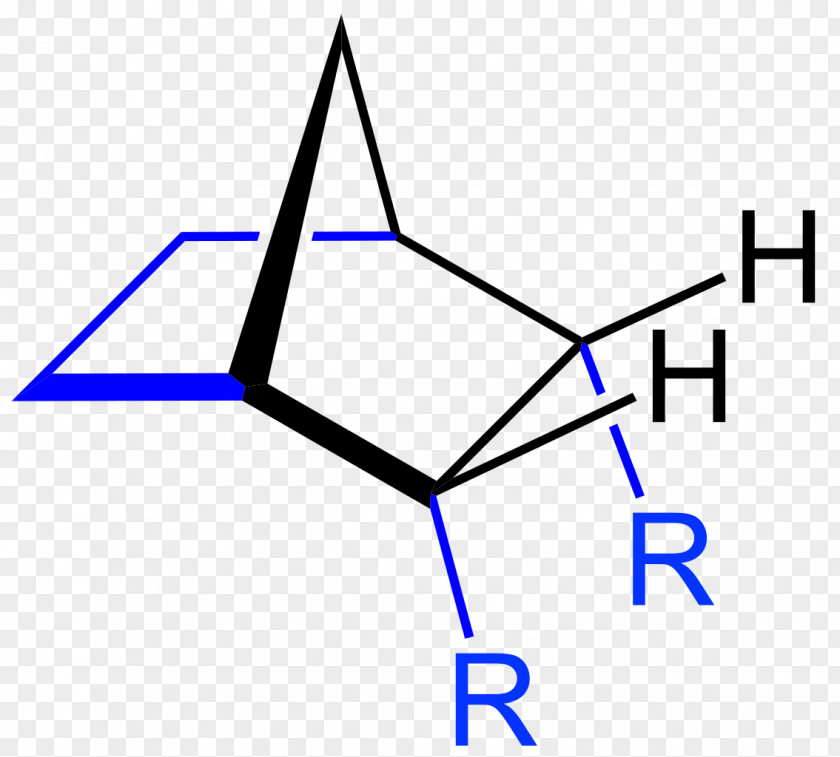 Endodontic Borneol Enantiomer Camphor Terpene Bicyclic Molecule PNG