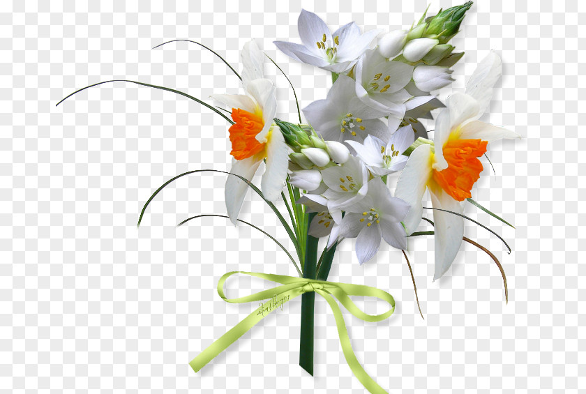 Flower Floral Design Cut Flowers Bouquet PNG