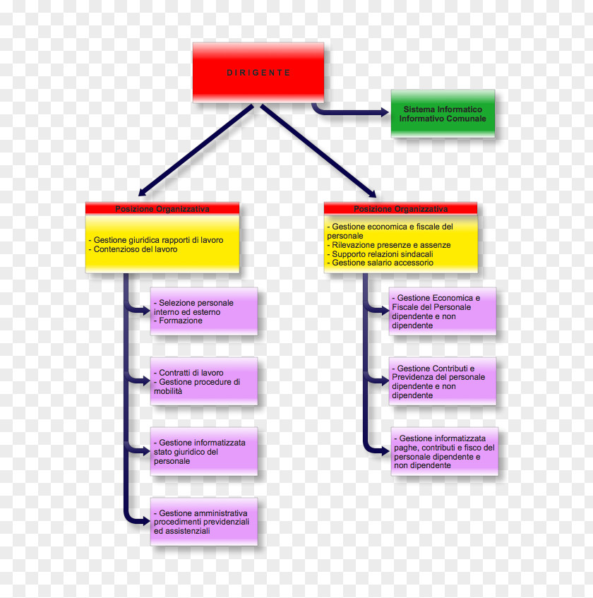 Men Surprise Human Resource Management Organizational Chart Bilgi Sistemi PNG