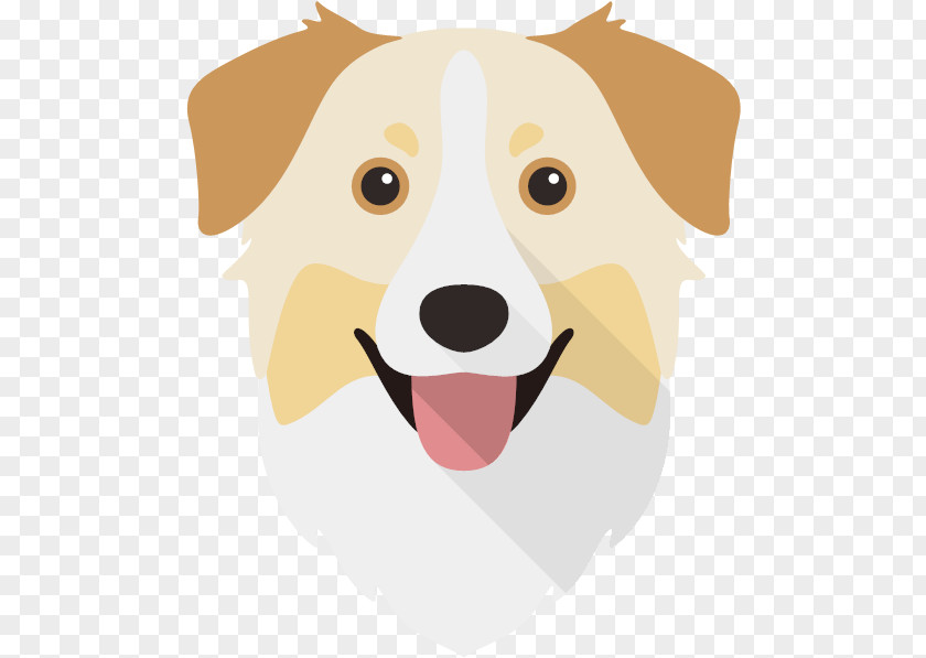 Nose Border Collie PNG